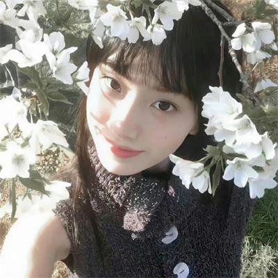 谍海群英会